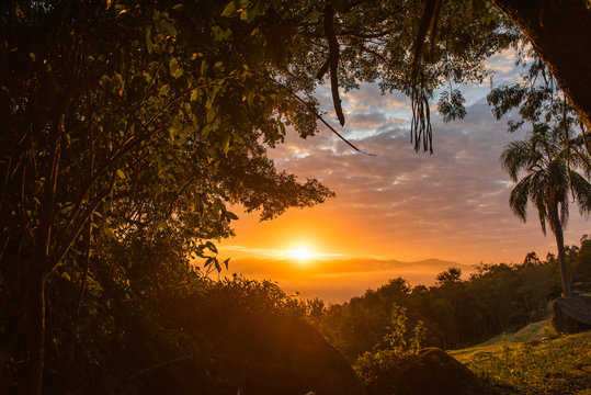 Dawn with silhouetted trees with colorful sky, sun between clouds