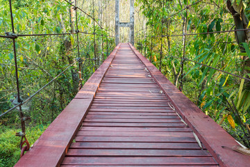 Wood bridge of iron and chain
