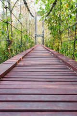 Wood bridge of iron and chain