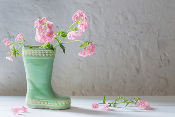 summer flowers in ceramic boot on white background