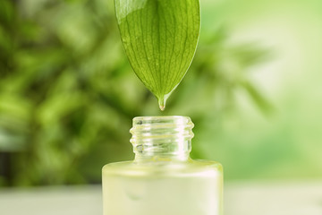 Dripping of essential oil into bottle on blurred background