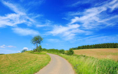 Fototapeta na wymiar Asphalt road through the green field and clouds on blue sky.