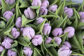 Fototapeta premium the Souvenirs at Bloemenmarkt - floating flower market on Singel Canal. Amsterdam. Netherlands