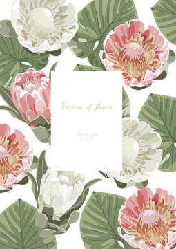 Vintage and luxurious floral vector greeting card with flowers in garden and white background vector Illustration