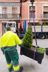 municipal gardener placing decorative planters in street city