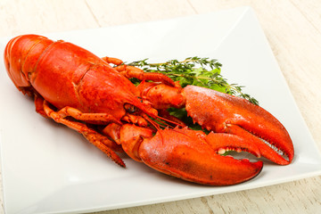 Lobster