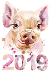 Watercolor portrait of mini pig with year 2019