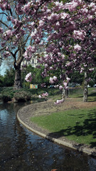 Spring in paris 