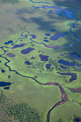 Forest river, top view