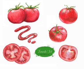 Hand-drawn watercolor food illustration. Set of red tomatoes isolated on the white background. Vegetarian food product