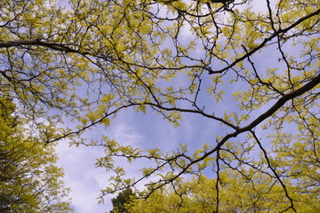 spot- Jardin Botanique & Insectarium