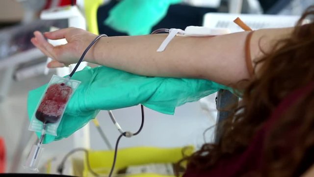 Blood donator donates blood in the hospital
