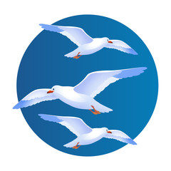 Seagull in flight. Vector image of a seagull on a blue background.
