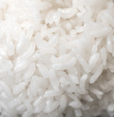 Rice Closeup