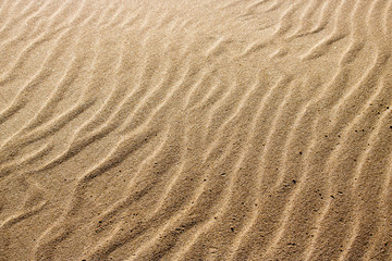 Fototapeta na wymiar Ripples in sand