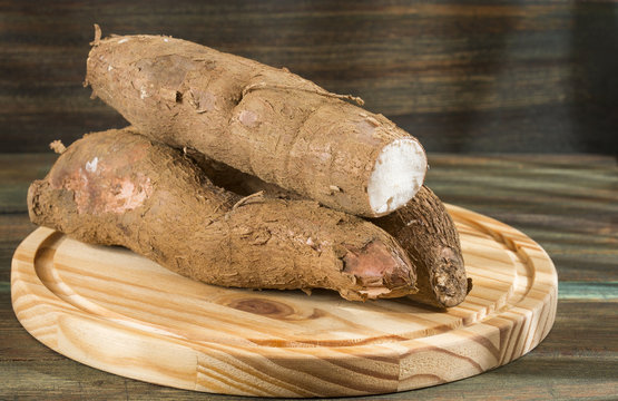 Cassava raw tuber - Manihot esculenta