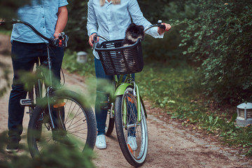 Naklejka premium An attractive couple of a blonde female and man dressed in casual clothes on a bicycle ride with their cute little spitz in a bicycle basket.