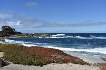 17 Mile Drive - Carmel