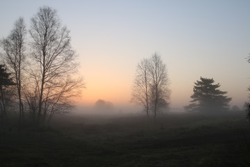 Kurz vor dem Sonnenaufgang in der Lüneburger Heide
