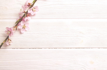 Obraz premium Single spring flowering branch with a lot of pink blossoms on white wooden background. Rustic composition, many spring tree flowers on vintage wood textured table. Close up, copy text space, top view.