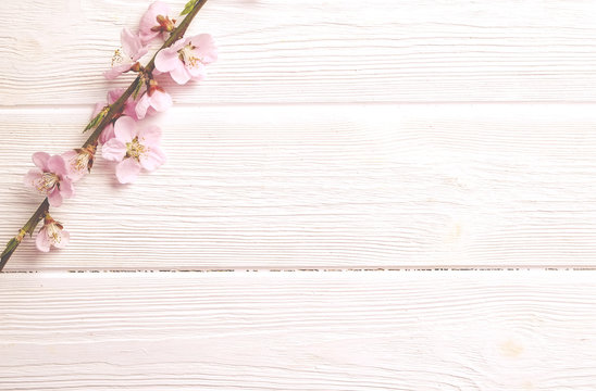 Single spring flowering branch with a lot of pink blossoms on white wooden background. Rustic composition, many spring tree flowers on vintage wood textured table. Close up, copy text space, top view.