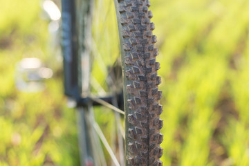 Close-up on a bicycle at the back, Mountain Bike Protector	