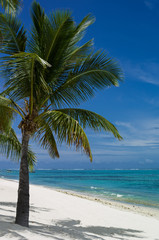 Fototapeta premium Mauritius Strand