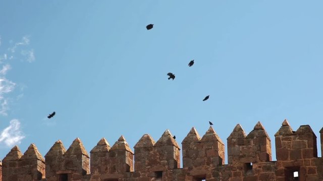 Ravens flying acrobatically slow motion over castle wall Calahorra Spain sunny day.mov