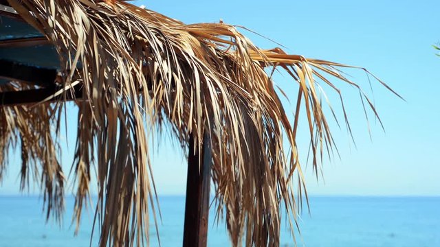 Turkey - August 2017: Roof of bungalow from palm tree's leaf against blue sky and sea background. Tropical summer landscape