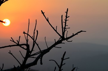 COUCHER DE SOLEIL SUR ZOULOULAND