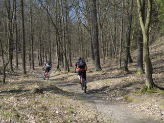 Obraz premium group cyclists riding a bike on early spring forest road in sunlight