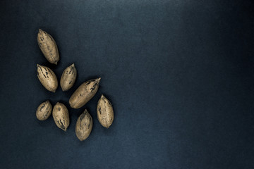 Pecan Nuts with the Nutshell on Black Background Surface with Free Space