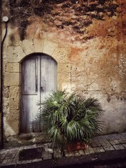 Fototapeta na wymiar Old doors with vase 