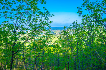 Pinnacle Mountain in Little Rock, Arkansas