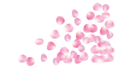 Wedding Sakura Cherry, Rose Petals Floral Confetti. Shower Vector Peach Apple Blossom Soft Sakura Cherry and Rose Confetti Falling Down. Windy Floral Design, Natural Cosmetics Decoration.