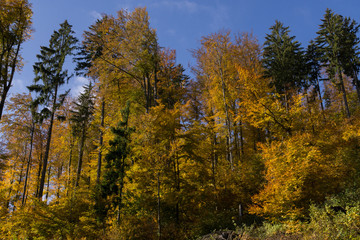 Hills and mountains during autumn. Slovakia