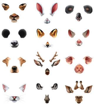 Cute Animal Masks Video Chat Application Effect Filters Set