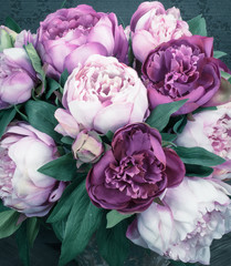 Fototapety  Bouquet of peony flowers. Purple tone and dark background.