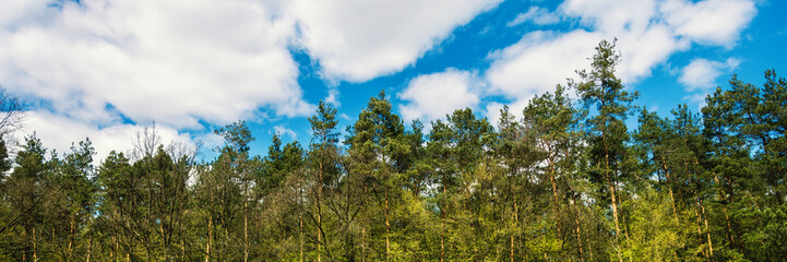 horizontal view of forest behind hill on the blue cloudy sky