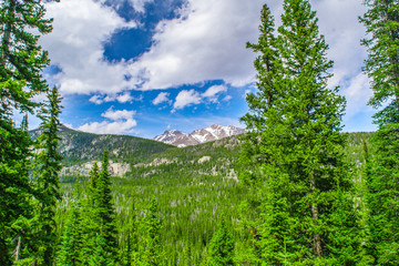 Wilderness in Colorado 