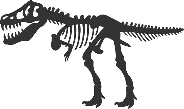 Tyrannosaurus Rex T.Rex Dinosaur Skeleton