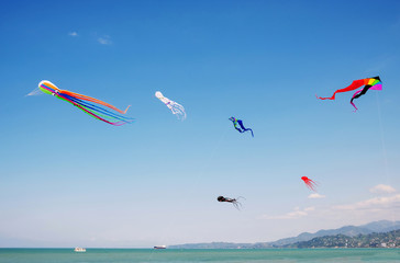 kites in the sky