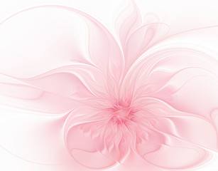 Beautiful monochrome pink flower on a white background