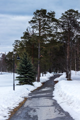 Park Björkbacka w Östersund