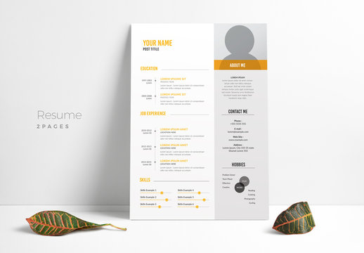 Resume Layout with Gray Sidebar