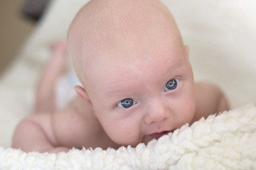 Portrait of a newborn baby lying on his stomach