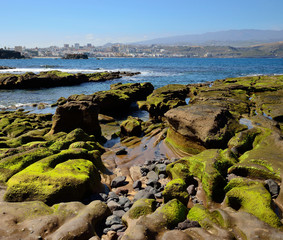 Peculiar reefs when the tides goes down, The confital, Las palmas of Gran canaria © ptoscano