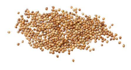 coriander seeds isolated on white background