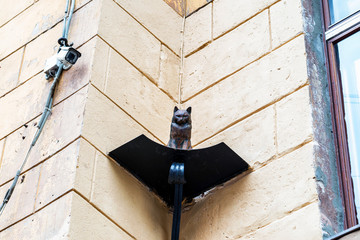 Cat figurine on building facade in St.Pesterburg
