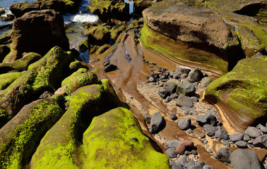 Seashore with peculiar shapes at low tide, The confital, coast of Gran canaria